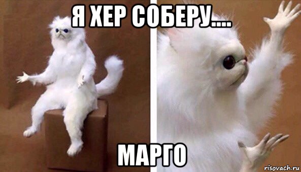 я хер соберу.... марго, Мем Чучело кота