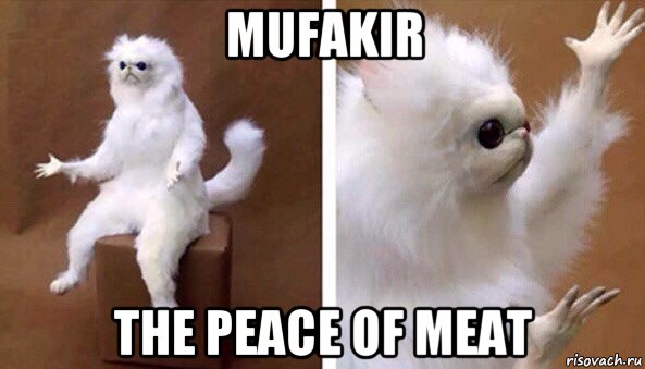 mufakir the peace of meat, Мем Чучело кота