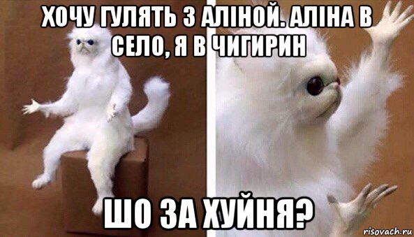 хочу гулять з аліной. аліна в село, я в чигирин шо за хуйня?, Мем Чучело кота