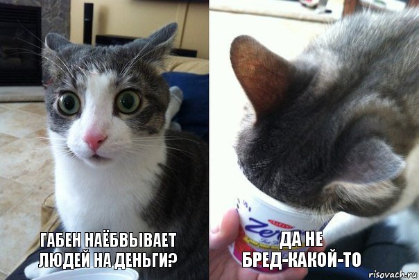 Габен наёбвывает людей на деньги? Да не бред-какой-то, Комикс  Да не бред-какой-то (2 зоны)