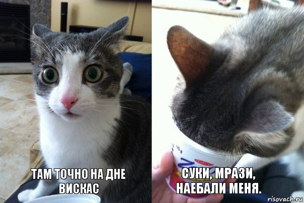 Там точно на дне вискас Суки, мрази, наебали меня., Комикс  Да не бред-какой-то (2 зоны)