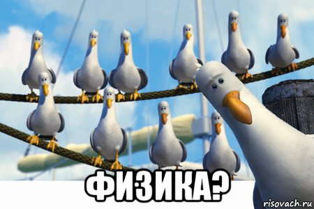  физика?