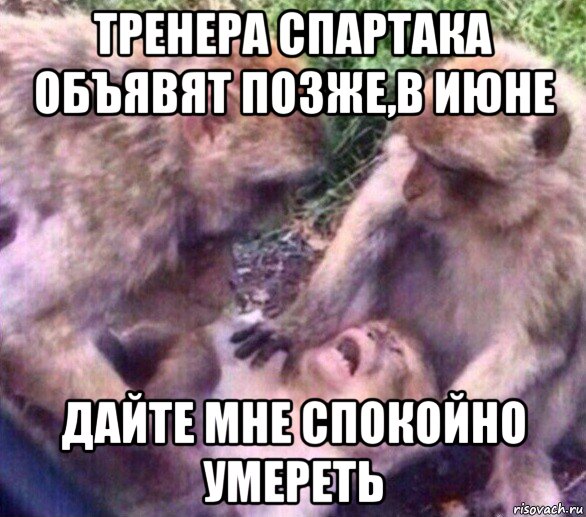 тренера спартака объявят позже,в июне дайте мне спокойно умереть