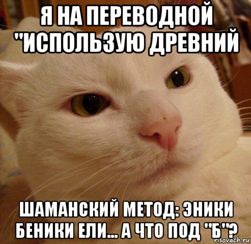 я на переводной "использую древний шаманский метод: эники беники ели... а что под "б"?, Мем Дерзкий котэ