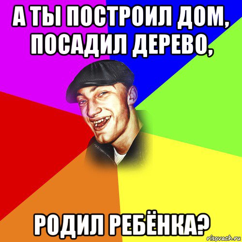 а ты построил дом, посадил дерево, родил ребёнка?, Мем ДЕРЗКИЙ БЫДЛОМЁТ