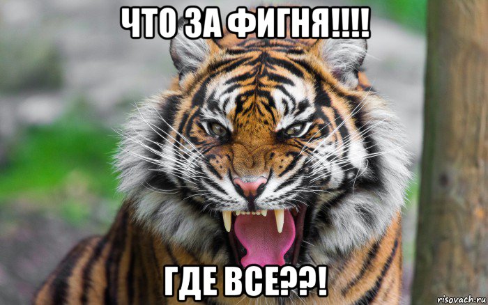 что за фигня!!!! где все??!