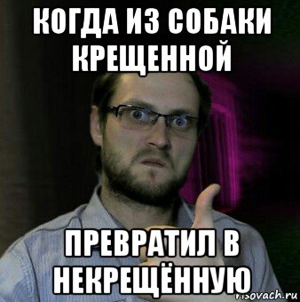 когда из собаки крещенной превратил в некрещённую, Мем Дмитрий Куплинов
