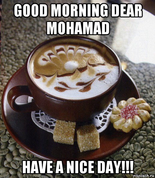 good morning dear mohamad have a nice day!!!