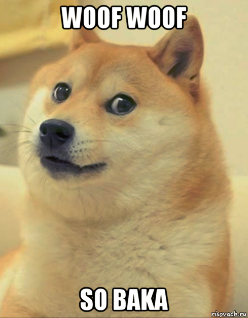 woof woof so baka, Мем doge woof