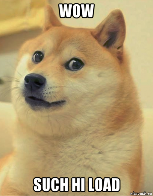 wow such hi load, Мем doge woof