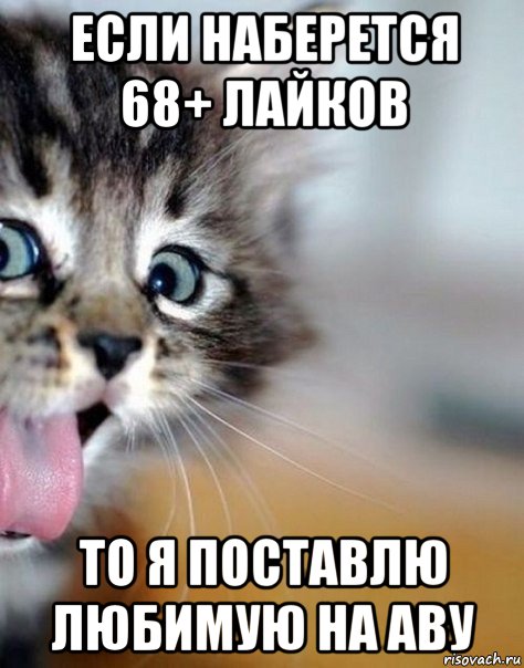 если наберется 68+ лайков то я поставлю любимую на аву