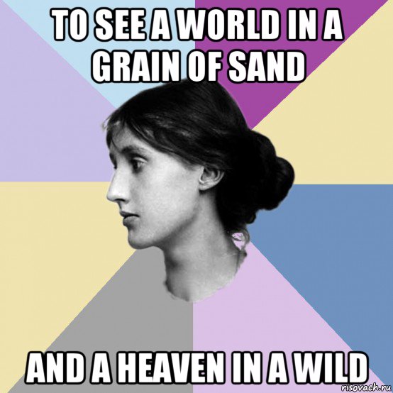 to see a world in a grain of sand and a heaven in a wild