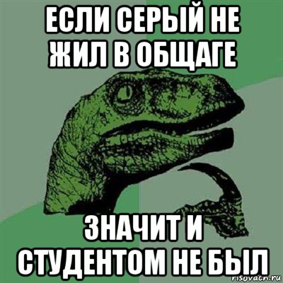 если серый не жил в общаге значит и студентом не был, Мем Филосораптор