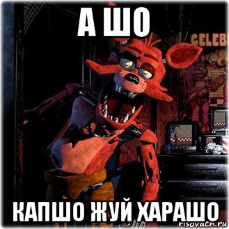 а шо капшо жуй харашо, Мем фокси