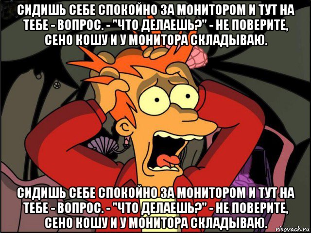 сидишь себе спокойно за монитором и тут на тебе - вопрос. - "что делаешь?" - не поверите, сено кошу и у монитора складываю. сидишь себе спокойно за монитором и тут на тебе - вопрос. - "что делаешь?" - не поверите, сено кошу и у монитора складываю., Мем Фрай в панике