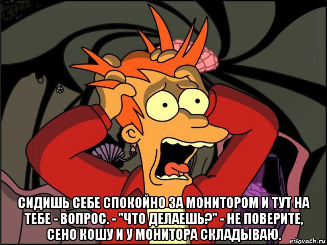  сидишь себе спокойно за монитором и тут на тебе - вопрос. - "что делаешь?" - не поверите, сено кошу и у монитора складываю., Мем Фрай в панике