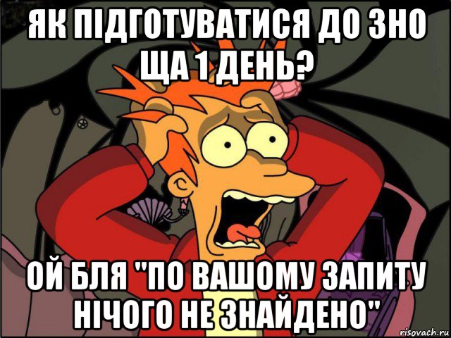 як підготуватися до зно ща 1 день? ой бля "по вашому запиту нічого не знайдено", Мем Фрай в панике