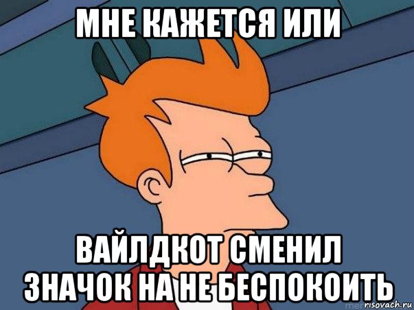 мне кажется или вайлдкот сменил значок на не беспокоить, Мем  Фрай (мне кажется или)