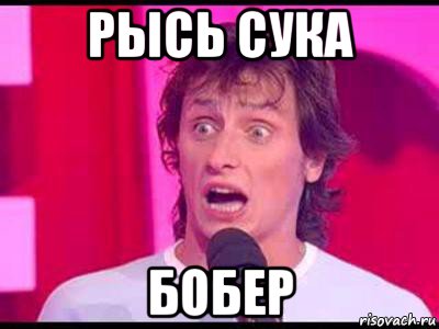 рысь сука бобер