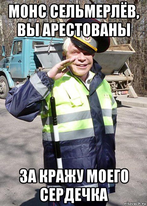 монс сельмерлёв, вы арестованы за кражу моего сердечка