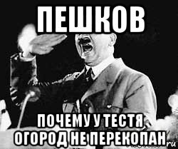 пешков почему у тестя огород не перекопан