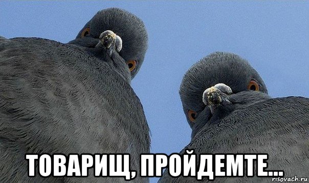  товарищ, пройдемте...