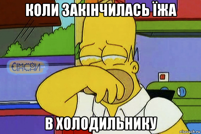 коли закінчилась їжа в холодильнику, Мем Гомер Плаче СІМПСОНИ UA