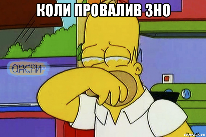 коли провалив зно , Мем Гомер Плаче СІМПСОНИ UA