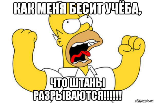 как меня бесит учёба, что штаны разрываются!!!!!!