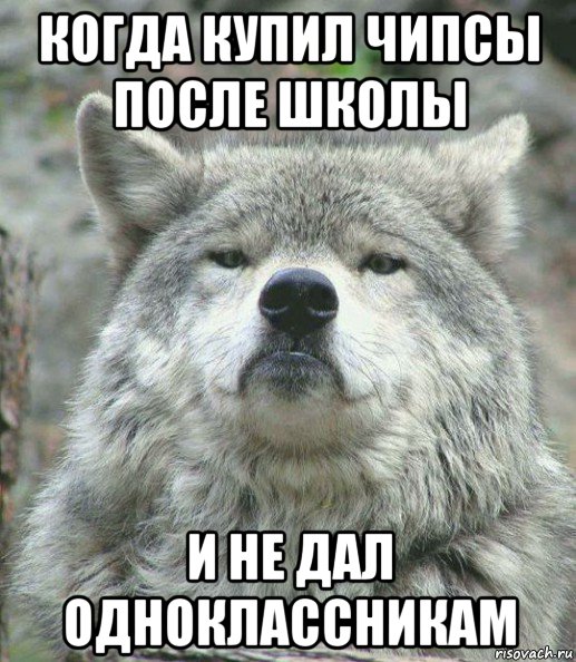 когда купил чипсы после школы и не дал одноклассникам, Мем    Гордый волк