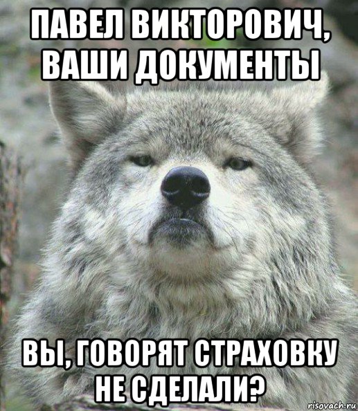 павел викторович, ваши документы вы, говорят страховку не сделали?, Мем    Гордый волк