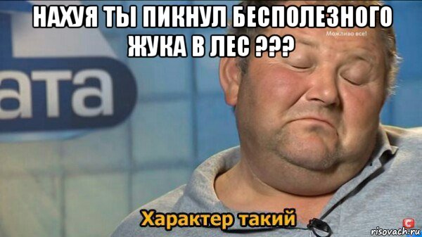 нахуя ты пикнул бесполезного жука в лес ??? , Мем  Характер такий