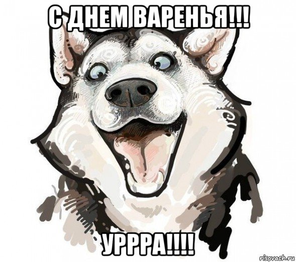 с днем варенья!!! уррра!!!!, Мем Хаски