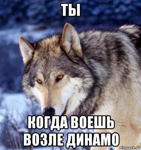 ты когда воешь возле динамо