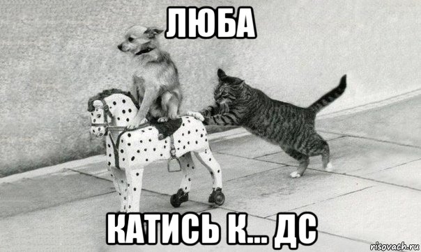 люба катись к... дс, Мем Катись к хуям