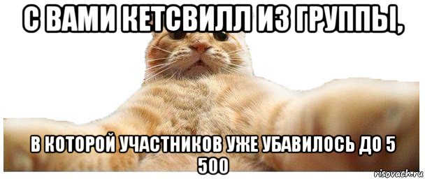 с вами кетсвилл из группы, в которой участников уже убавилось до 5 500, Мем   Кэтсвилл