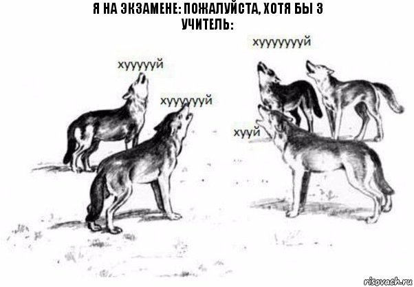 Я на экзамене: Пожалуйста, хотя бы 3
Учитель:, Комикс Когда хочешь