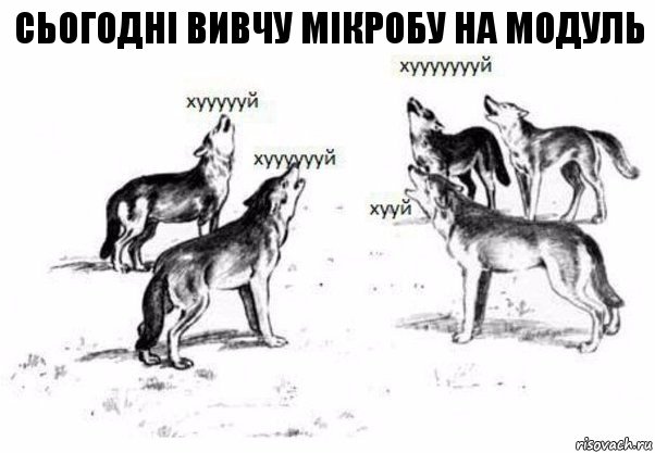 сьогодні вивчу мікробу на модуль, Комикс Когда хочешь