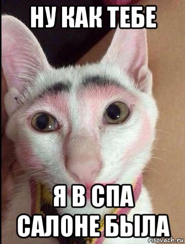 ну как тебе я в спа салоне была