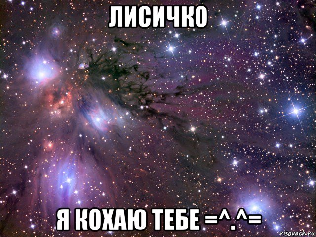 лисичко я кохаю тебе =^.^=, Мем Космос