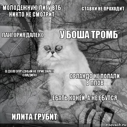 молодежную лигу ВТБ никто не смотрит Орландо не попали в плов у Боша тромб илита грубит в Долгопрудный не приезжает Оладипо Ставки не проходит ебать коней, а не ебутся Лангория далеко  , Комикс  кот безысходность