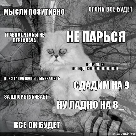 Мысли позитивно сдадим на 9 не парься все ок будет не из такой жопы выбирались огонь все будет ну ладно на 8_ главное чтобы не пересдача за шпоры убивает тыгыдык тыгыдык))))))))))))))))))))))), Комикс  кот безысходность