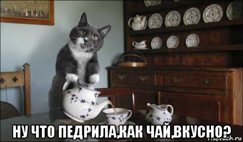  ну что педрила,как чай,вкусно?