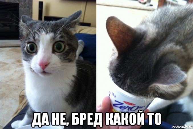  да не, бред какой то