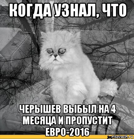 когда узнал, что черышев выбыл на 4 месяца и пропустит евро-2016, Мем Кот депрессия