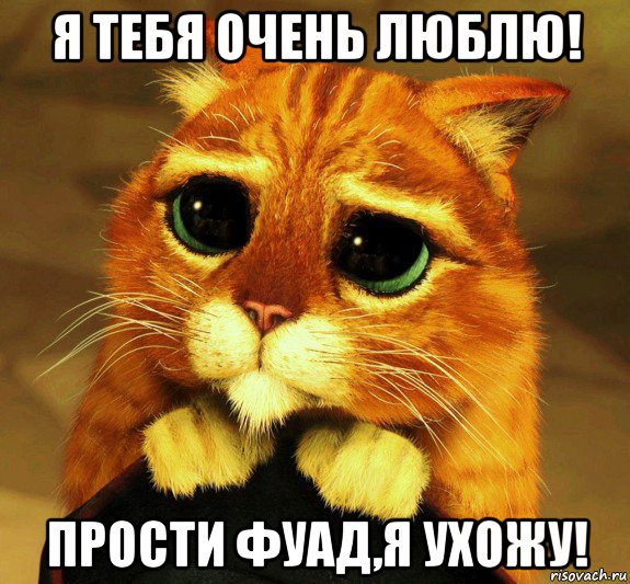 я тебя очень люблю! прости фуад,я ухожу!