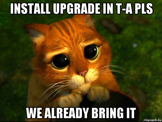 install upgrade in t-a pls we already bring it, Мем кот из шрека