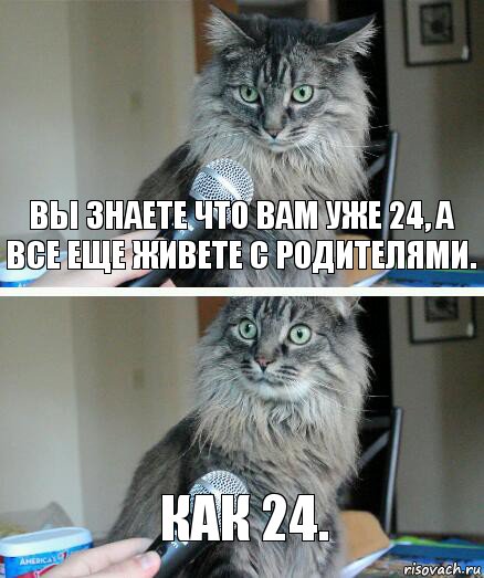 Вы знаете что вам уже 24, а все еще живете с родителями. Как 24., Комикс  кот с микрофоном