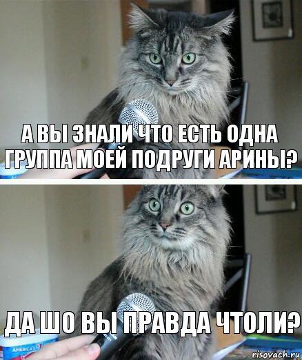 А ВЫ ЗНАЛИ ЧТО ЕСТЬ ОДНА ГРУППА МОЕЙ ПОДРУГИ АРИНЫ? ДА ШО ВЫ ПРАВДА ЧТОЛИ?, Комикс  кот с микрофоном