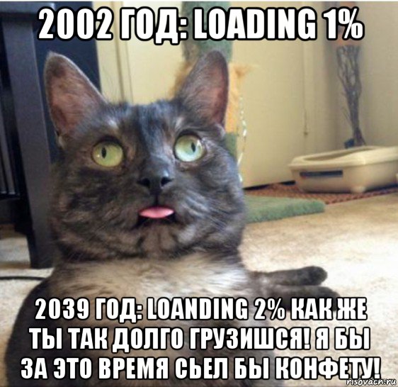 2002 год: loading 1% 2039 год: loanding 2% как же ты так долго грузишся! я бы за это время сьел бы конфету!, Мем   Кот завис